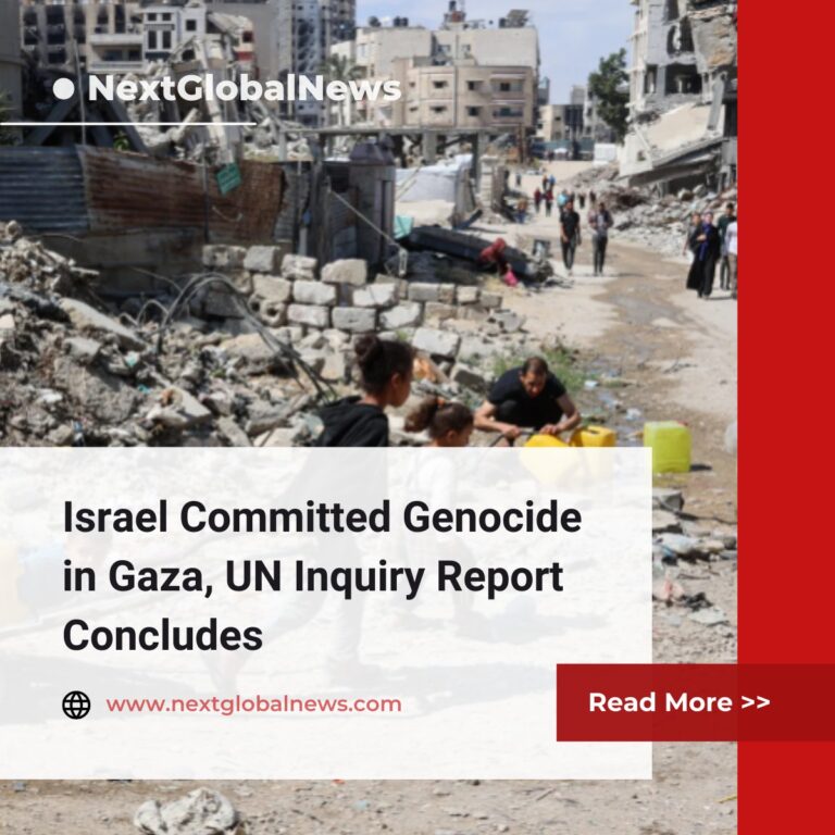 Israel Committed Genocide in Gaza